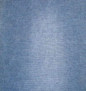 denim  22